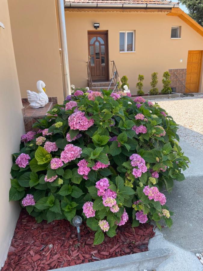 Toerpi Apartman Halmaj エクステリア 写真